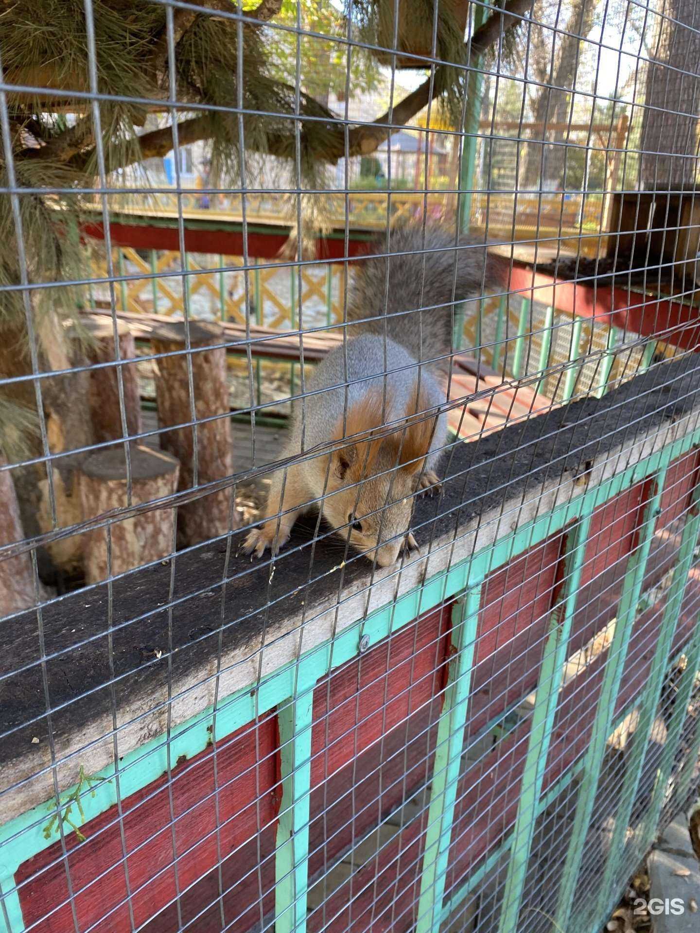 Отзывы на компанию Голубая волна в г. Анапа c фото