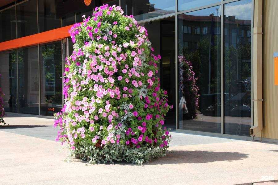 Отзывы на компанию Dream Garden в г. Барнаул c фото