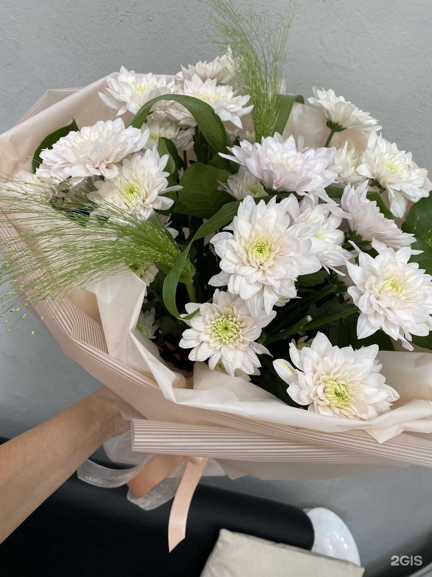 Отзывы на компанию Верба в г. Пенза c фото