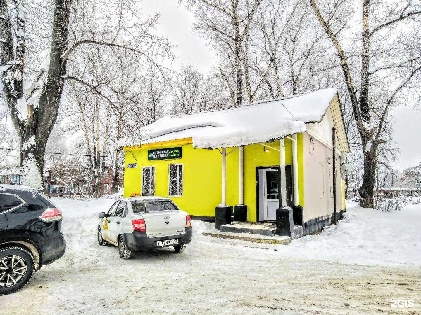 Отзывы на компанию Здоровый любимец в г. Орехово-Зуево c фото