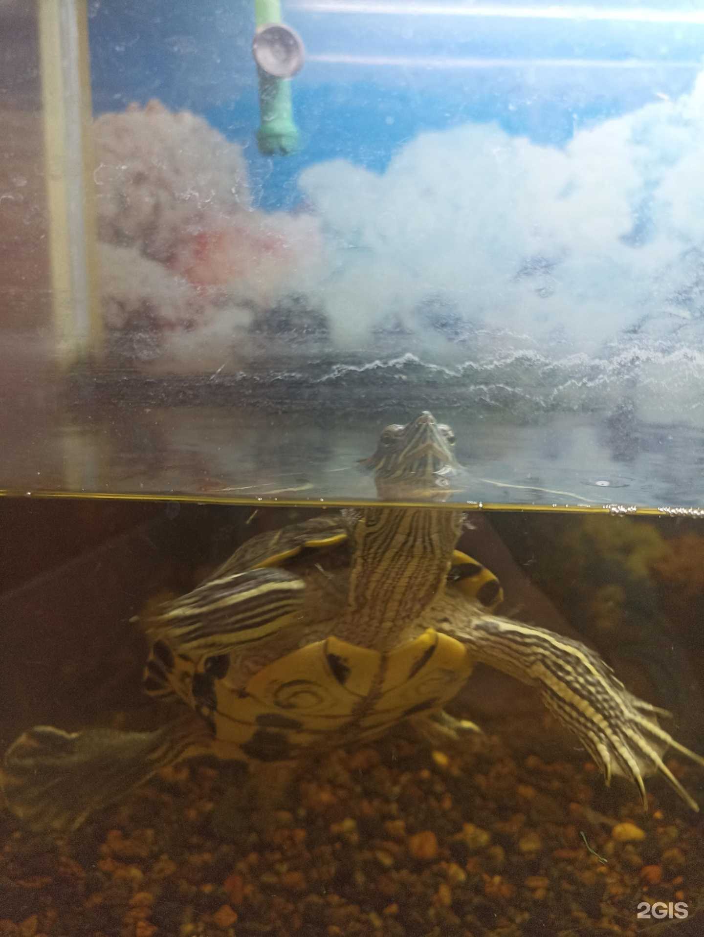 Отзывы на компанию Дворцовая в Томске c фото