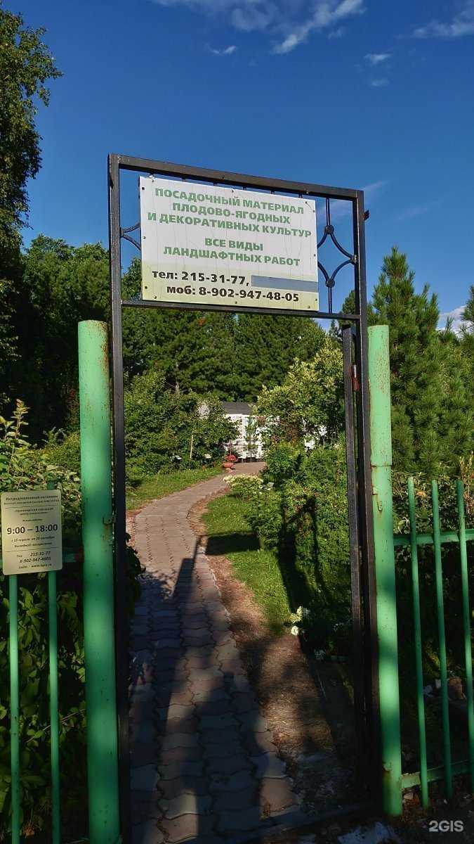 Отзывы на компанию Красноярский городской центр озеленения в Красноярске c фото - фотография 2 из 2