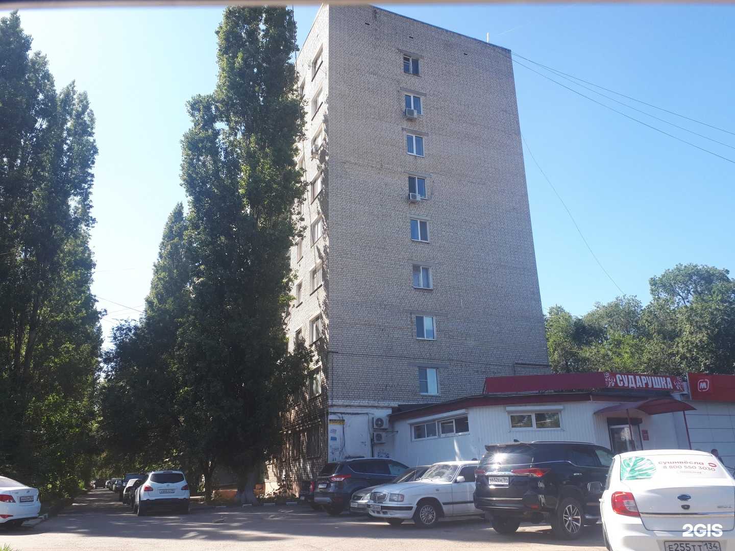 Отзывы на компанию Айболит-А в Саратове c фото - фотография 2 из 2