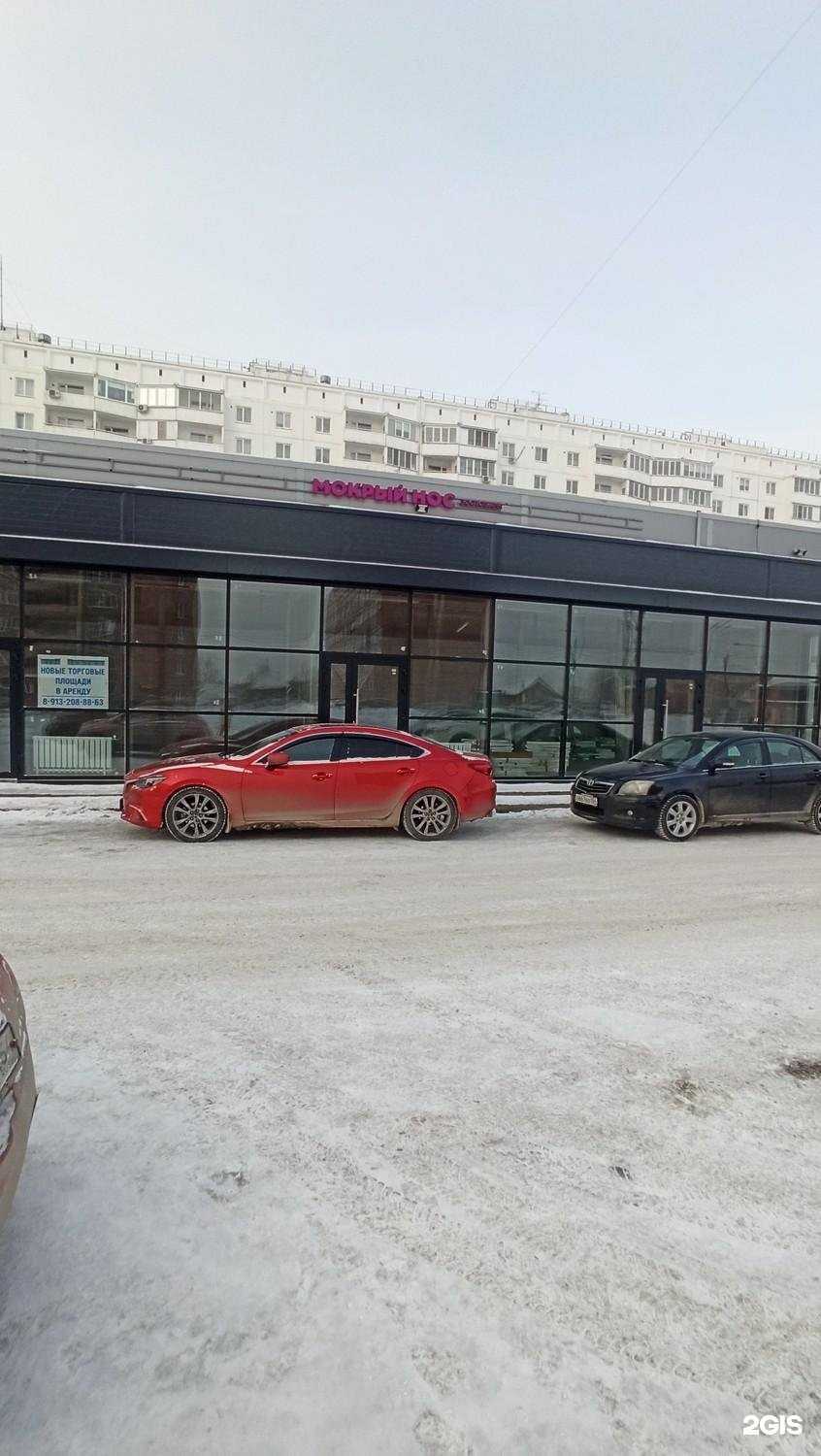 Отзывы на компанию Мокрый нос в г. Новосибирск c фото