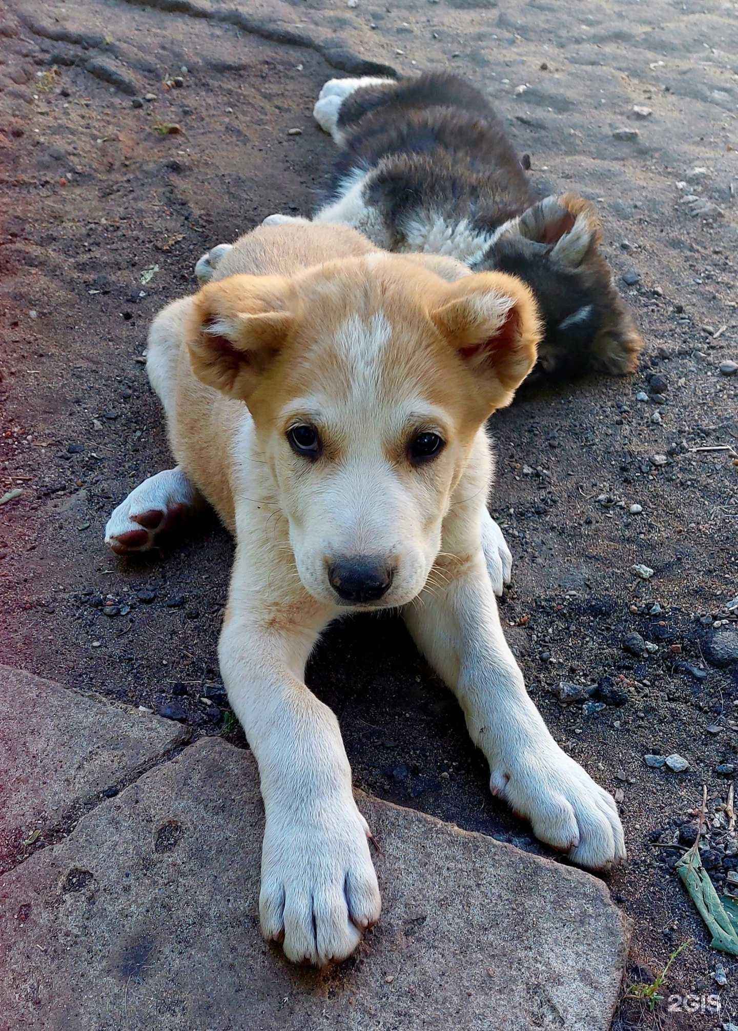 Отзывы на компанию Лидер в г. Воронеж c фото