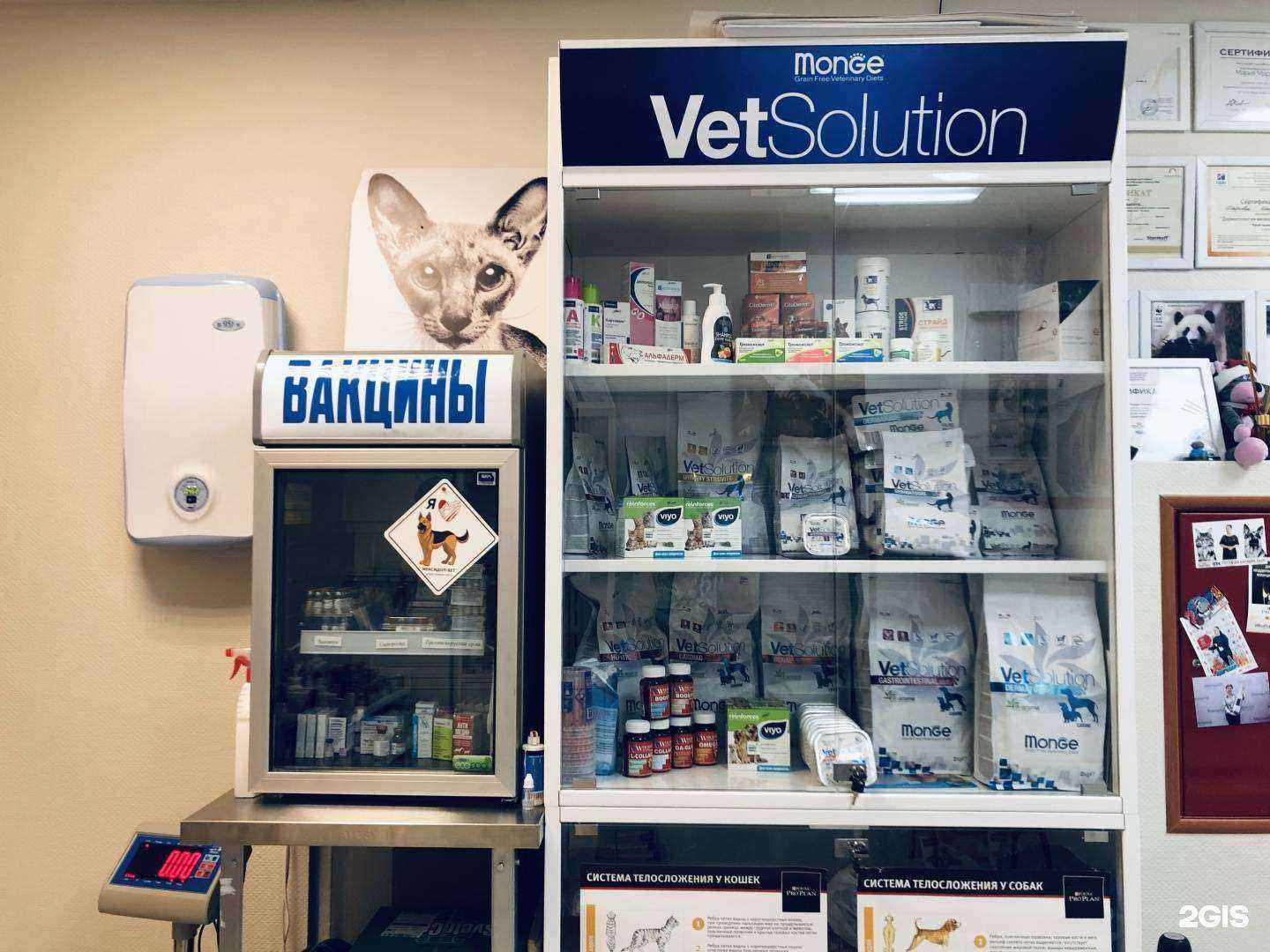 Отзывы на компанию Хамелеон в г. Королёв c фото