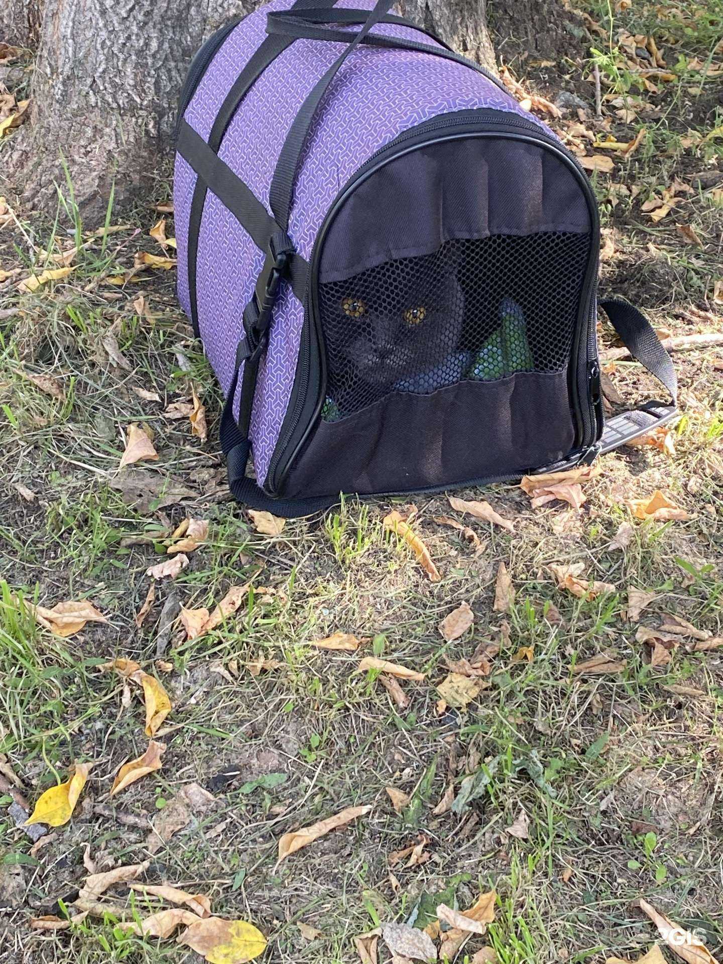 Отзывы на компанию Ветеринарный кабинет в Челябинске c фото