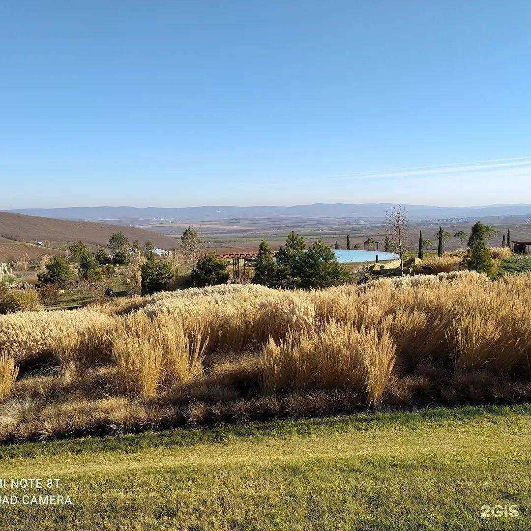 Отзывы на компанию НовотентСервис в Новороссийске c фото