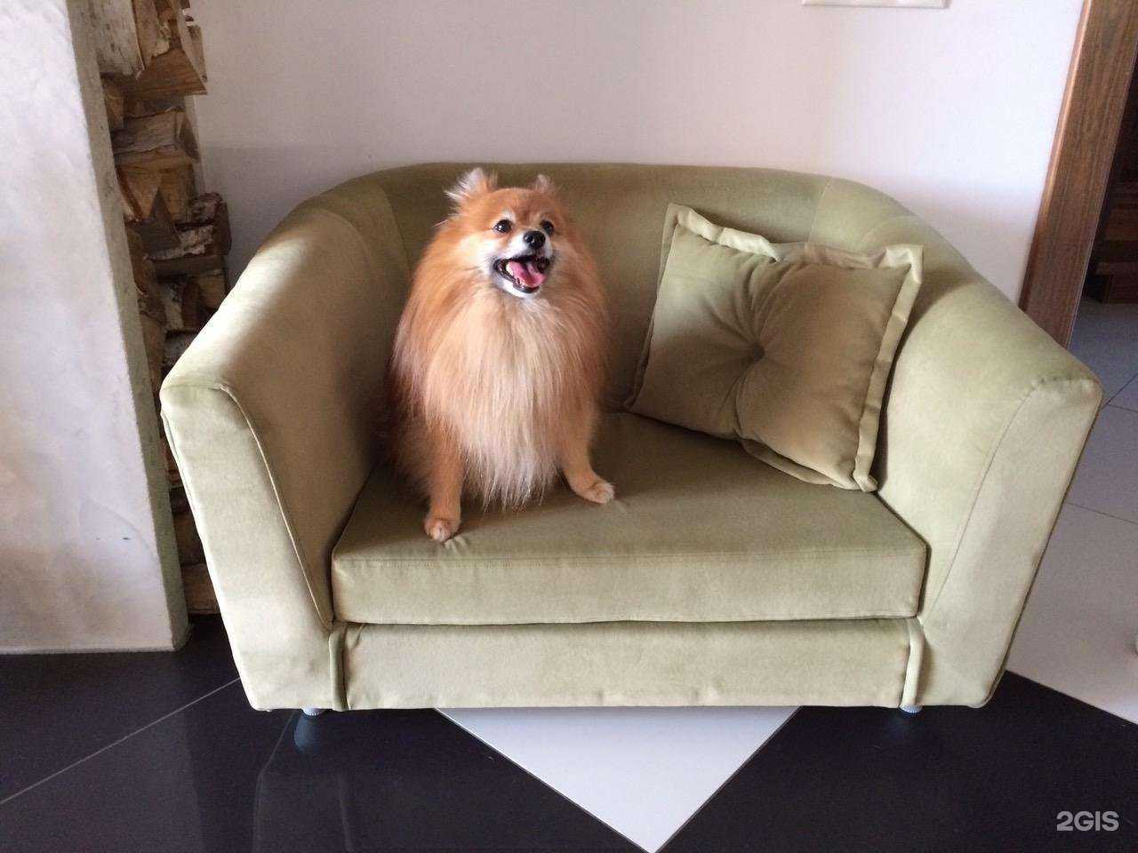 Отзывы на компанию Фабристо в Верхней Пышме c фото