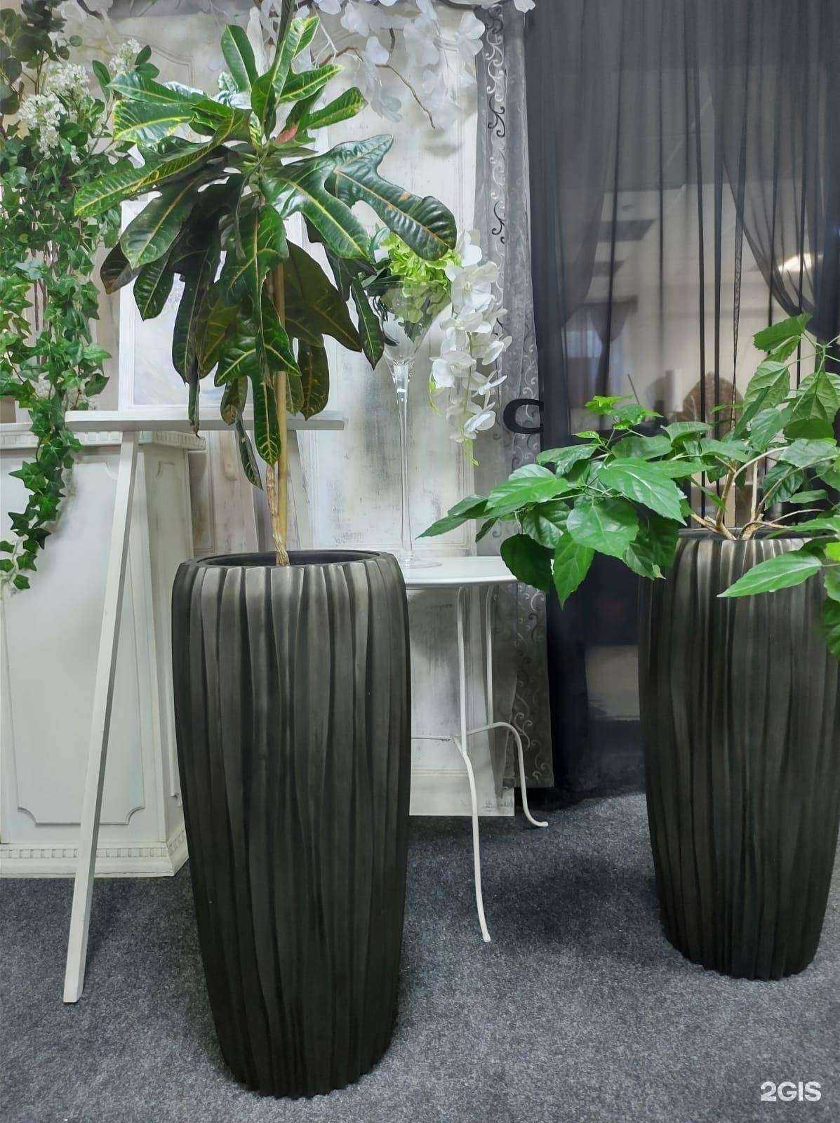 Отзывы на компанию Ди Фиори в Липецке c фото