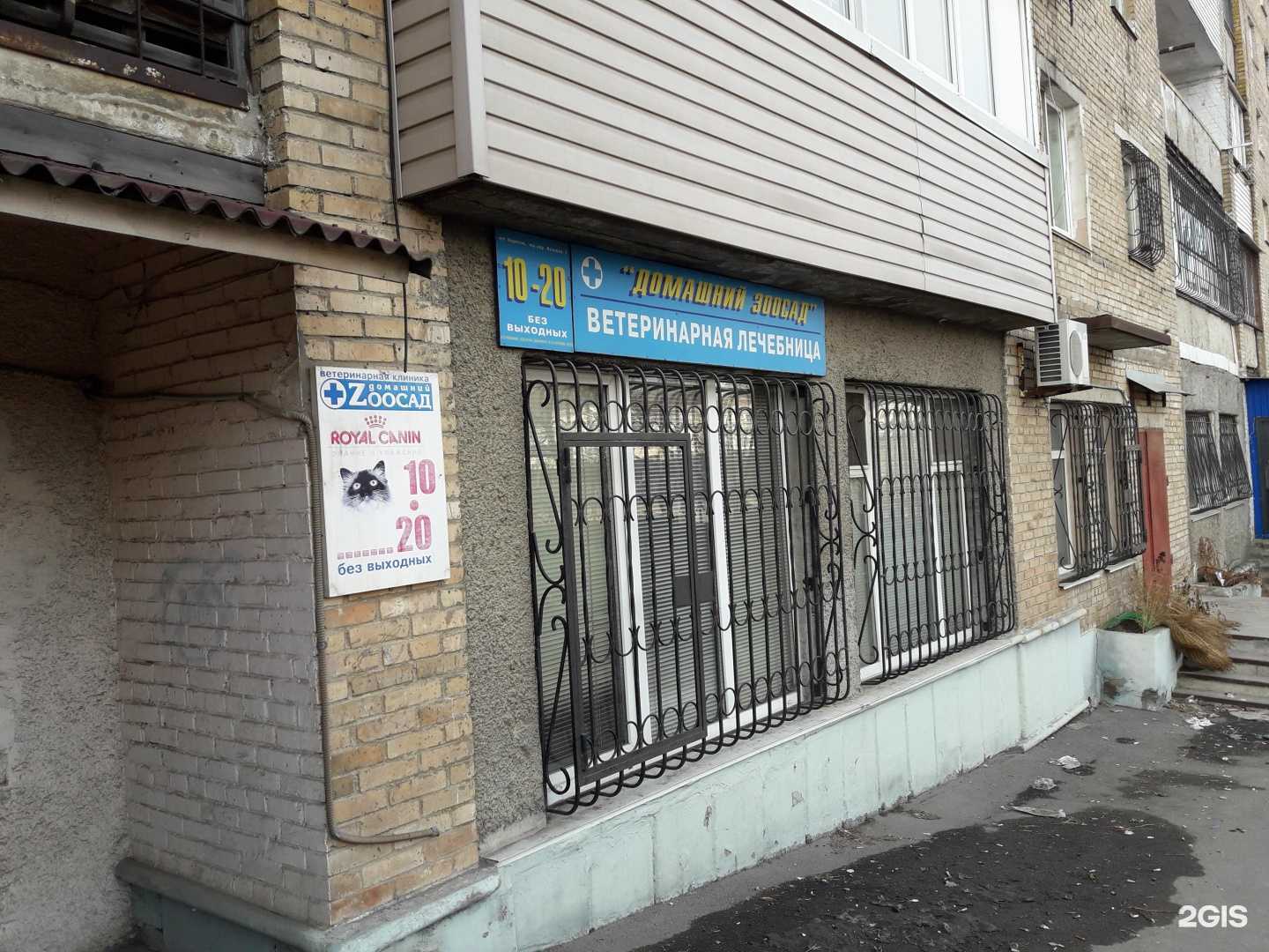 Отзывы на компанию Домашний зоосад в г. Владивосток c фото