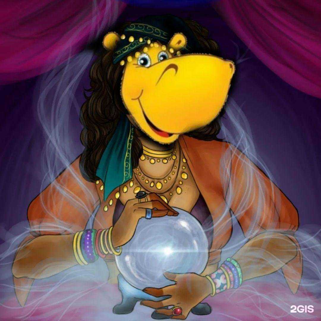 Отзывы на компанию Бегемотя в г. Липецк c фото