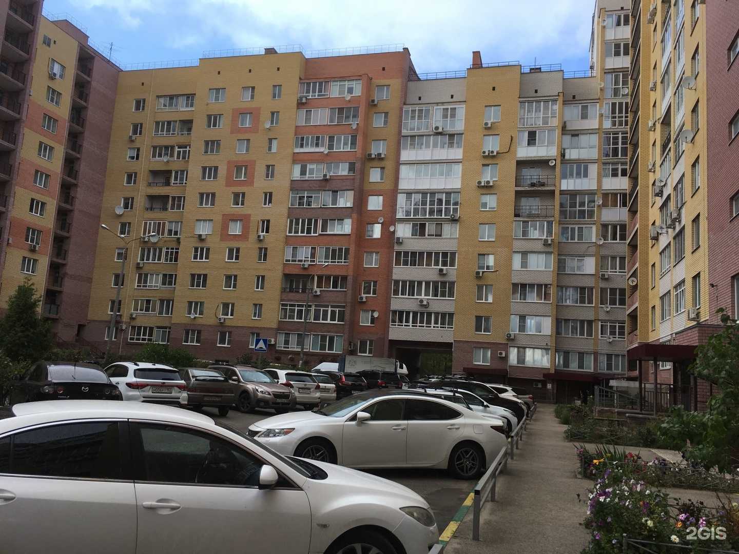 Отзывы на компанию Максавит в Нижнем Новгороде c фото - фотография 2 из 2