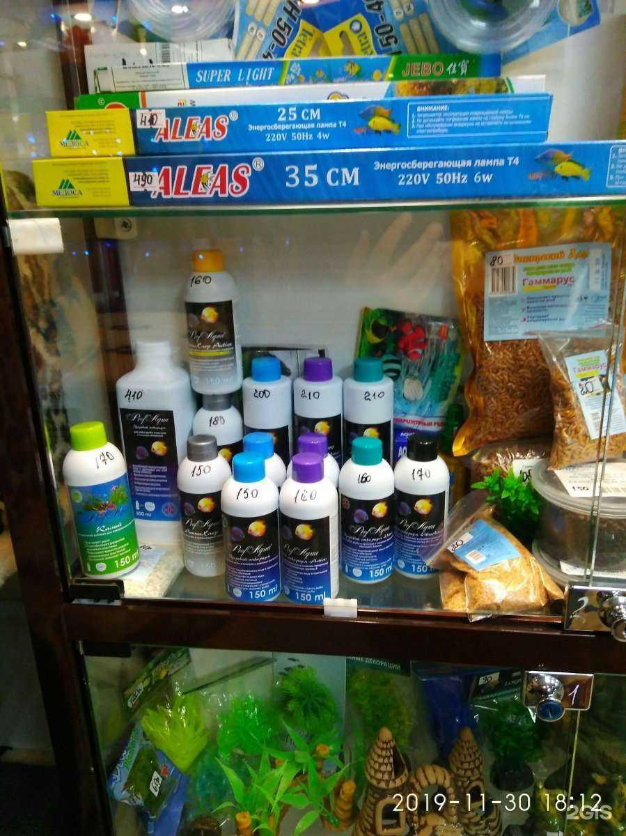 Отзывы на компанию Котопес в Омске c фото