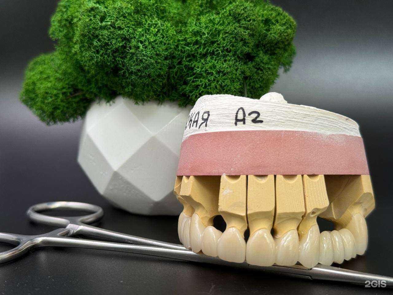 Отзывы на компанию Dentec Lab в Новосибирске c фото