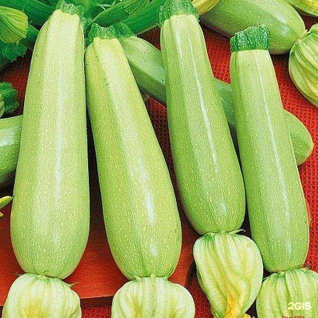 Отзывы на компанию Ландшафт в Пензе c фото