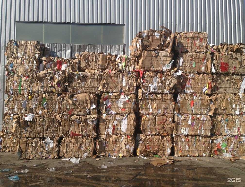 Отзывы на компанию Форест в Калининграде c фото