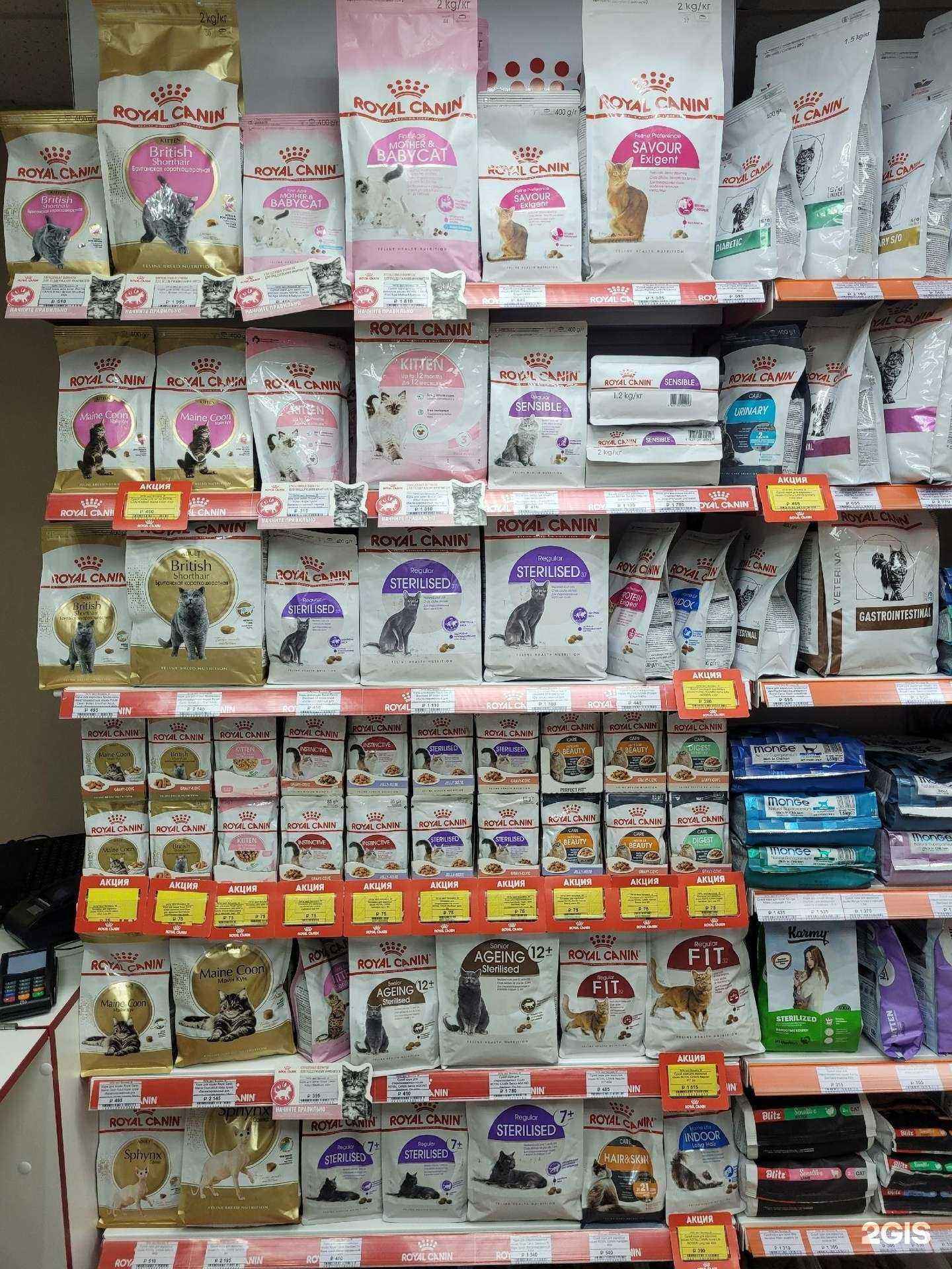 Отзывы на компанию Лапы хвост в Туле c фото