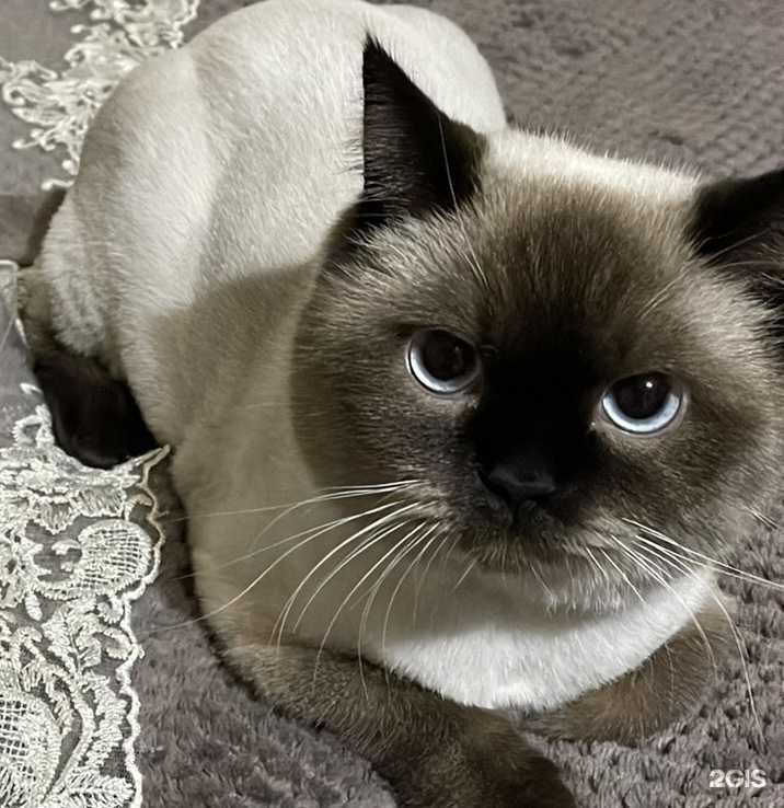 Отзывы на компанию Айболит в Дальнегорске c фото