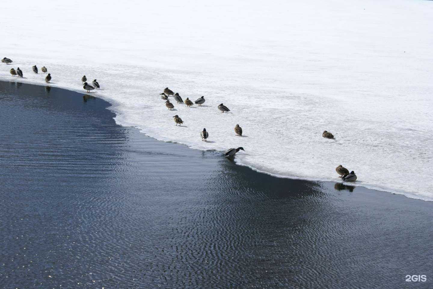 Отзывы на компанию Свердловская в Екатеринбурге c фото