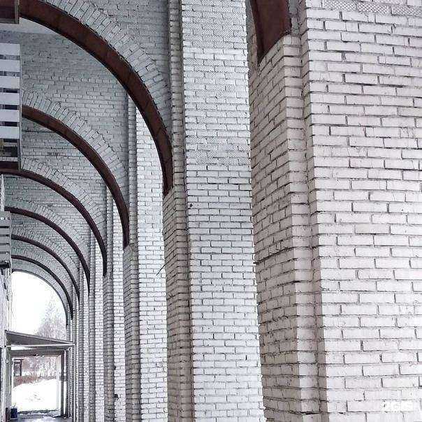 Отзывы на компанию Багира в Кемерове c фото - фотография 2 из 2