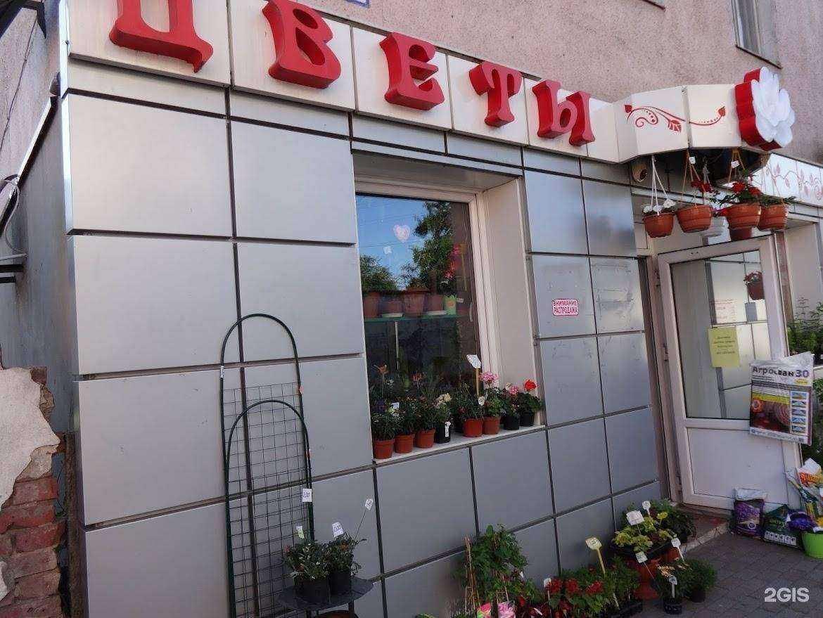 Отзывы на компанию Цветочный магазин в г. Озёрск c фото