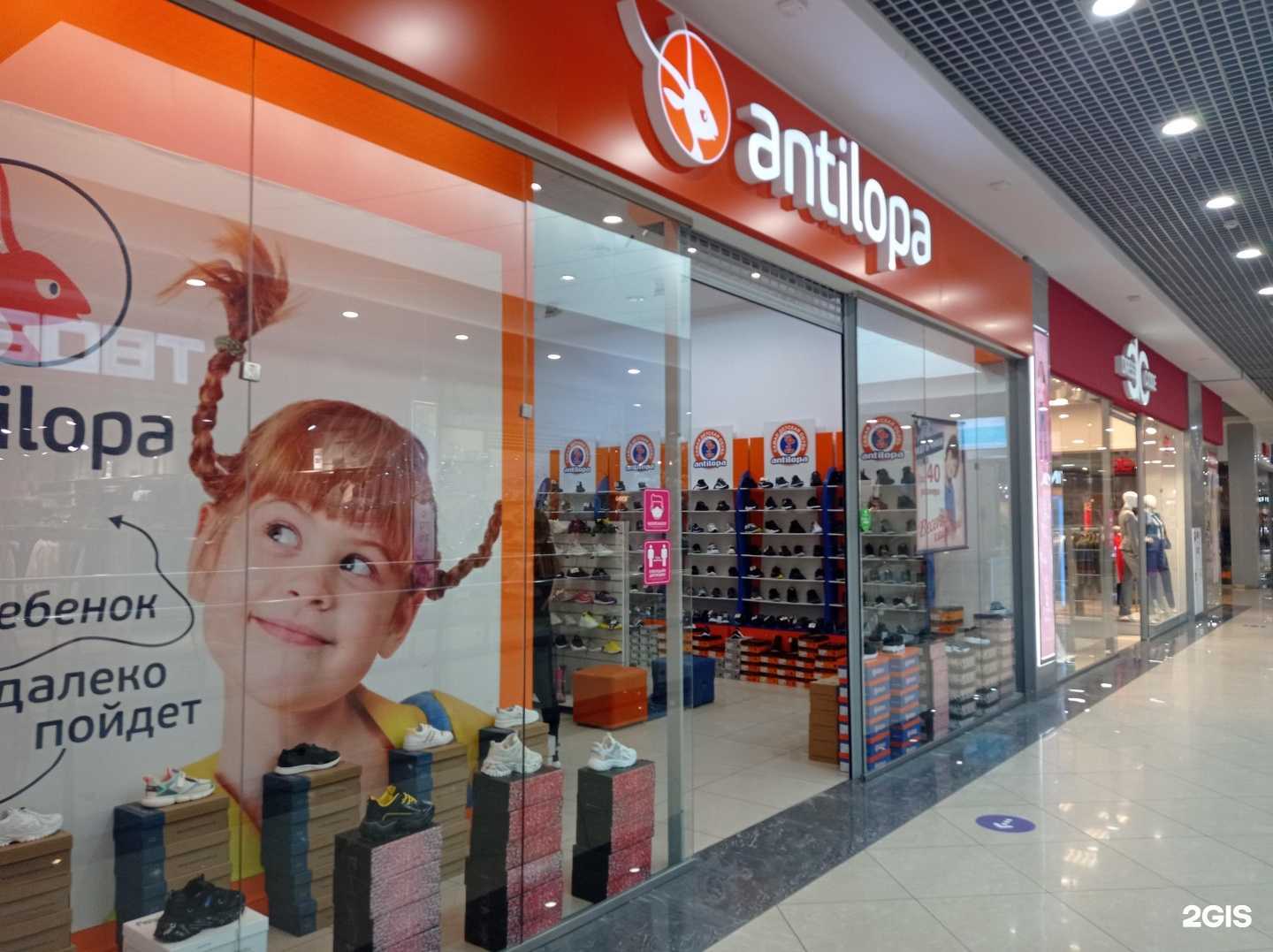 Отзывы на компанию Antilopa в Брянске c фото