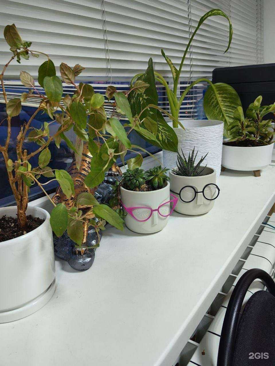 Отзывы на компанию Автоэксперт в г. Белгород c фото