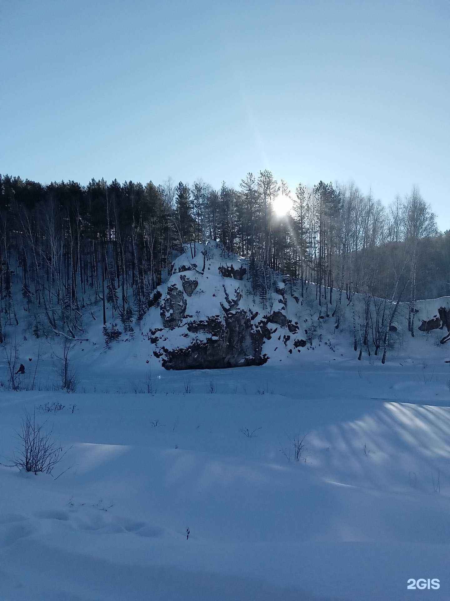 Отзывы на компанию Берёзовая роща в г. Каменск-Уральский c фото