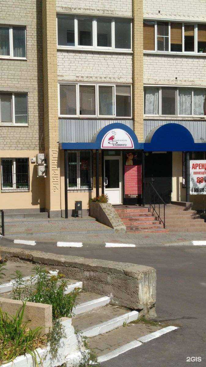 Отзывы на компанию Фламинго в Белгороде c фото