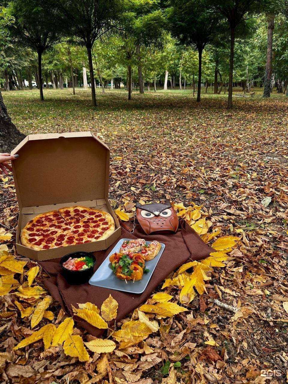 Отзывы на компанию Аригатор в Краснодаре c фото