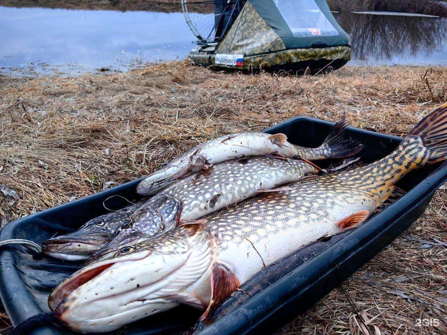 Отзывы на компанию Мир наживки в г. Якутск c фото