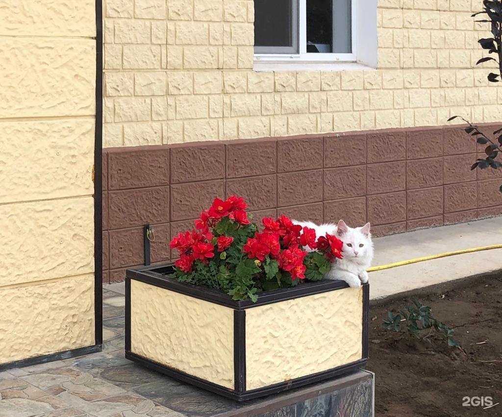 Отзывы на компанию Стальные магистрали в г. Волжский c фото