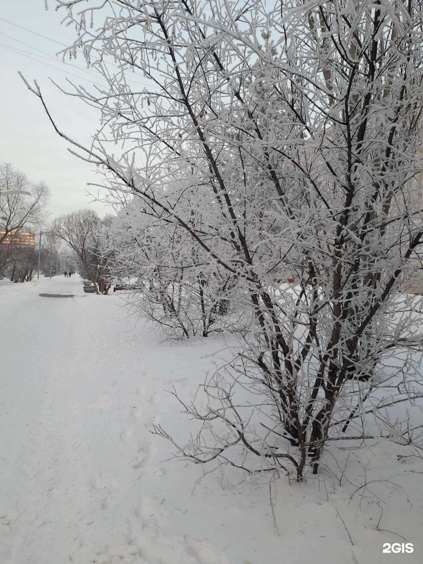 Отзывы на компанию Гном в Омске c фото - фотография 2 из 2