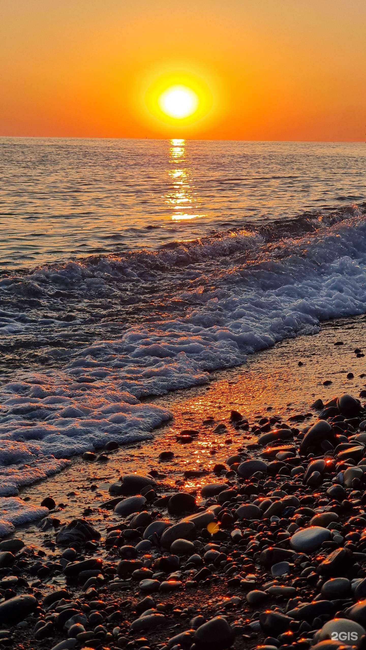 Отзывы на компанию Стелла в Сочи c фото