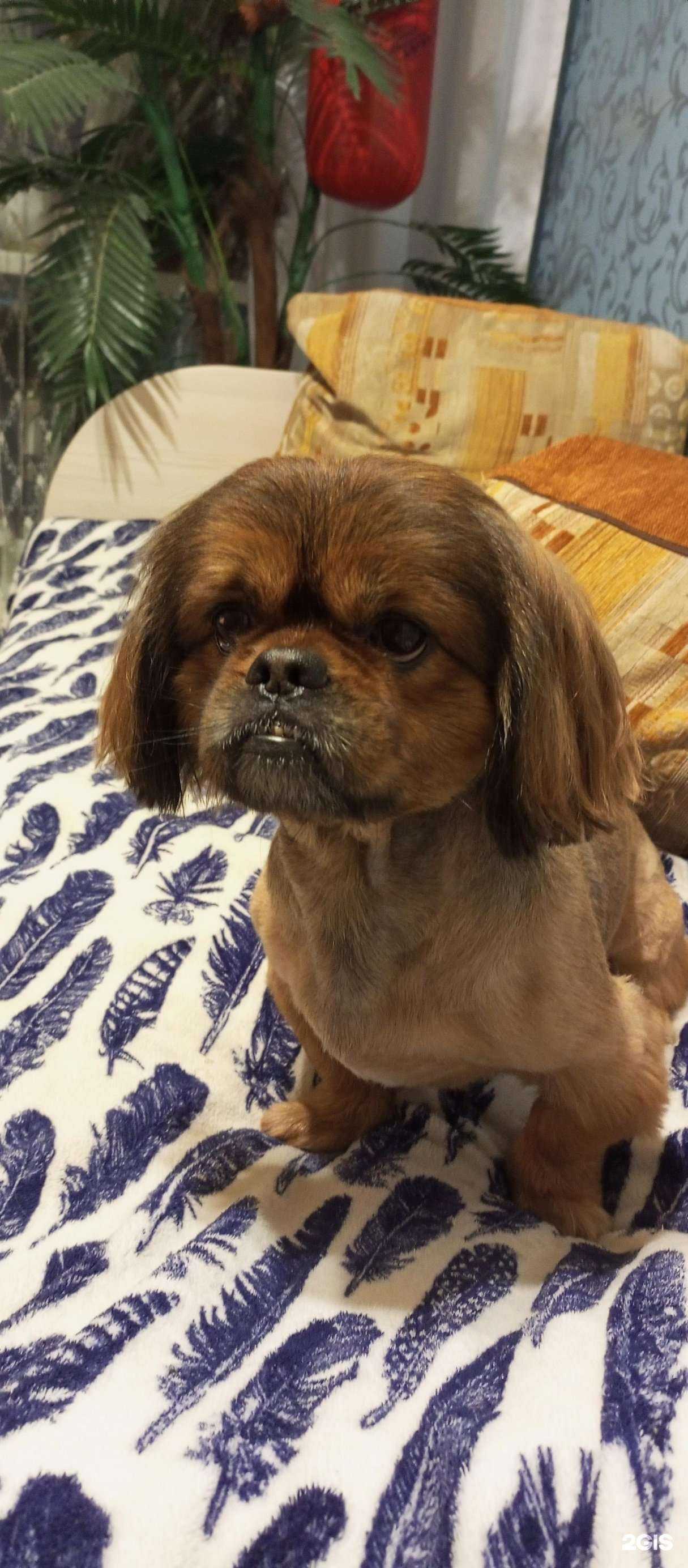 Отзывы на компанию Barri в Тамбове c фото