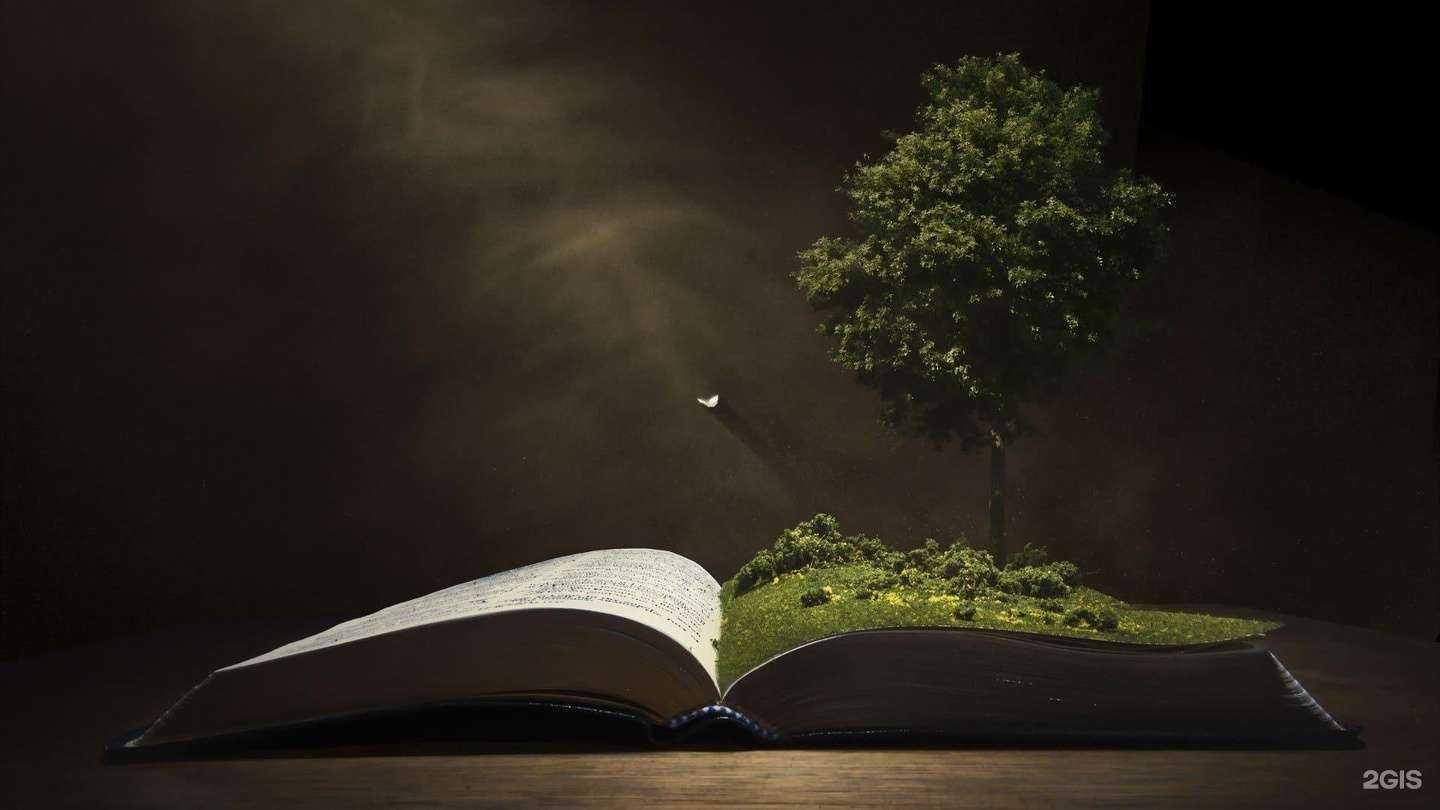 Отзывы на компанию ЭкоСибирь в Красноярске c фото