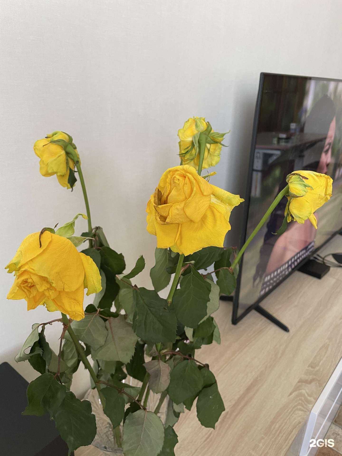 Отзывы на компанию Цветочный салон в г. Волгоград c фото