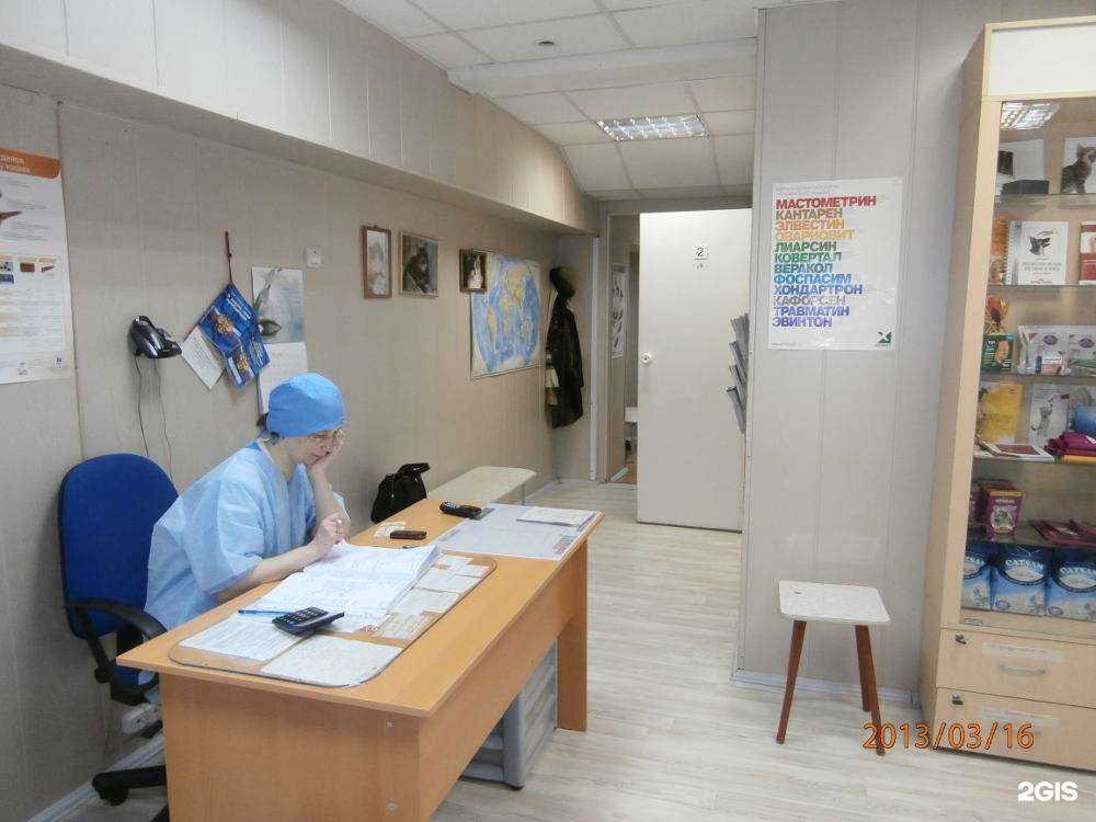 Отзывы на компанию Алиса в Екатеринбурге c фото