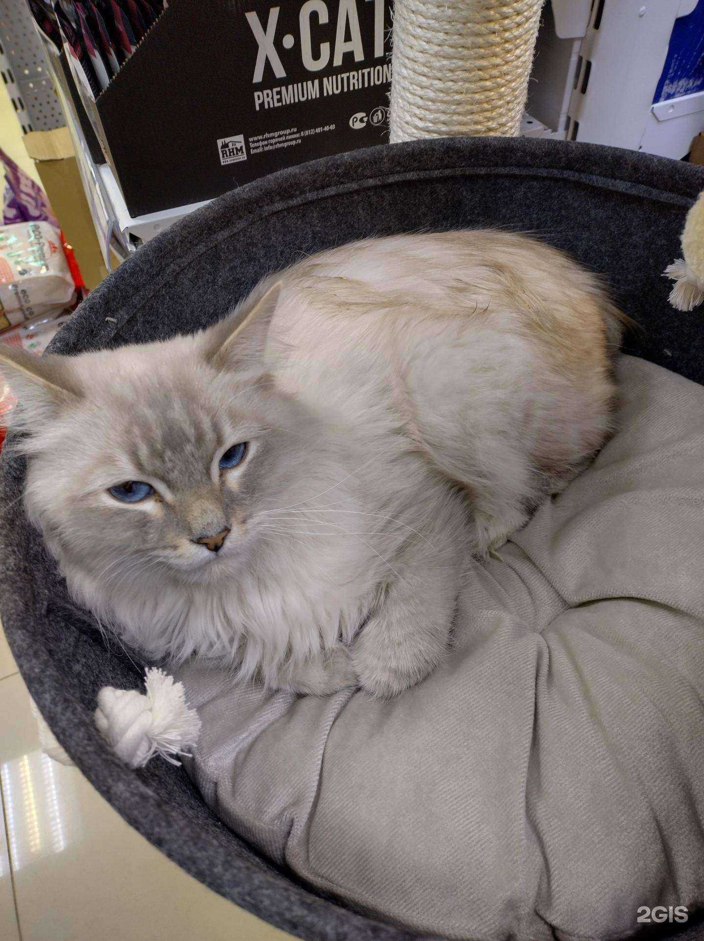 Отзывы на компанию ЗооДисконт в г. Иркутск c фото