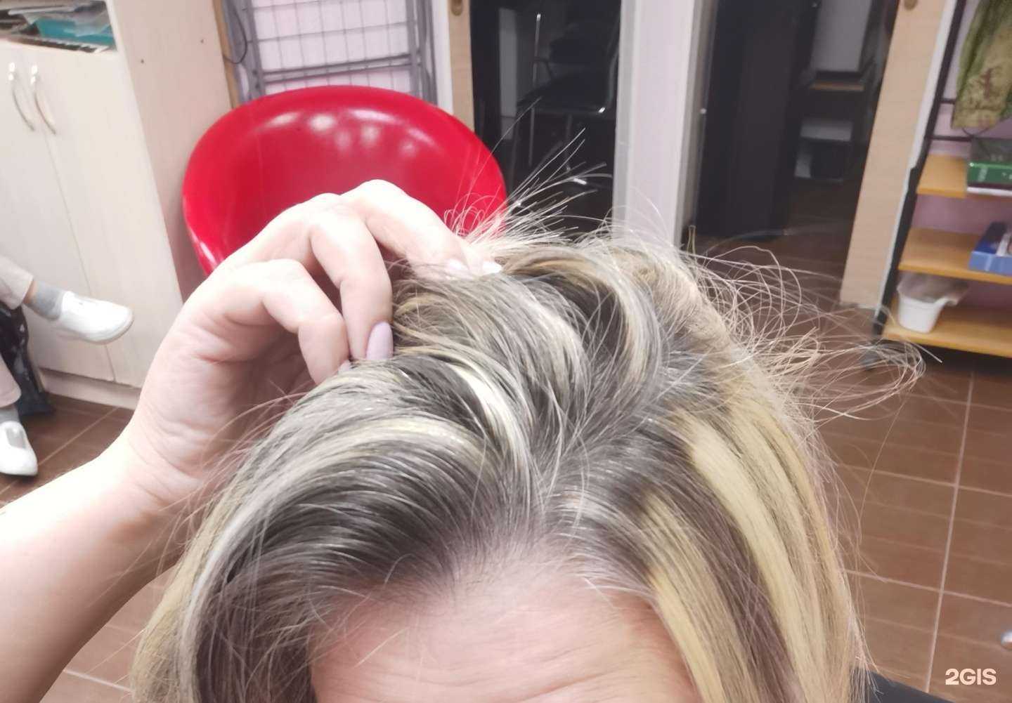 Отзывы на компанию Стриж-ка в г. Нижневартовск c фото