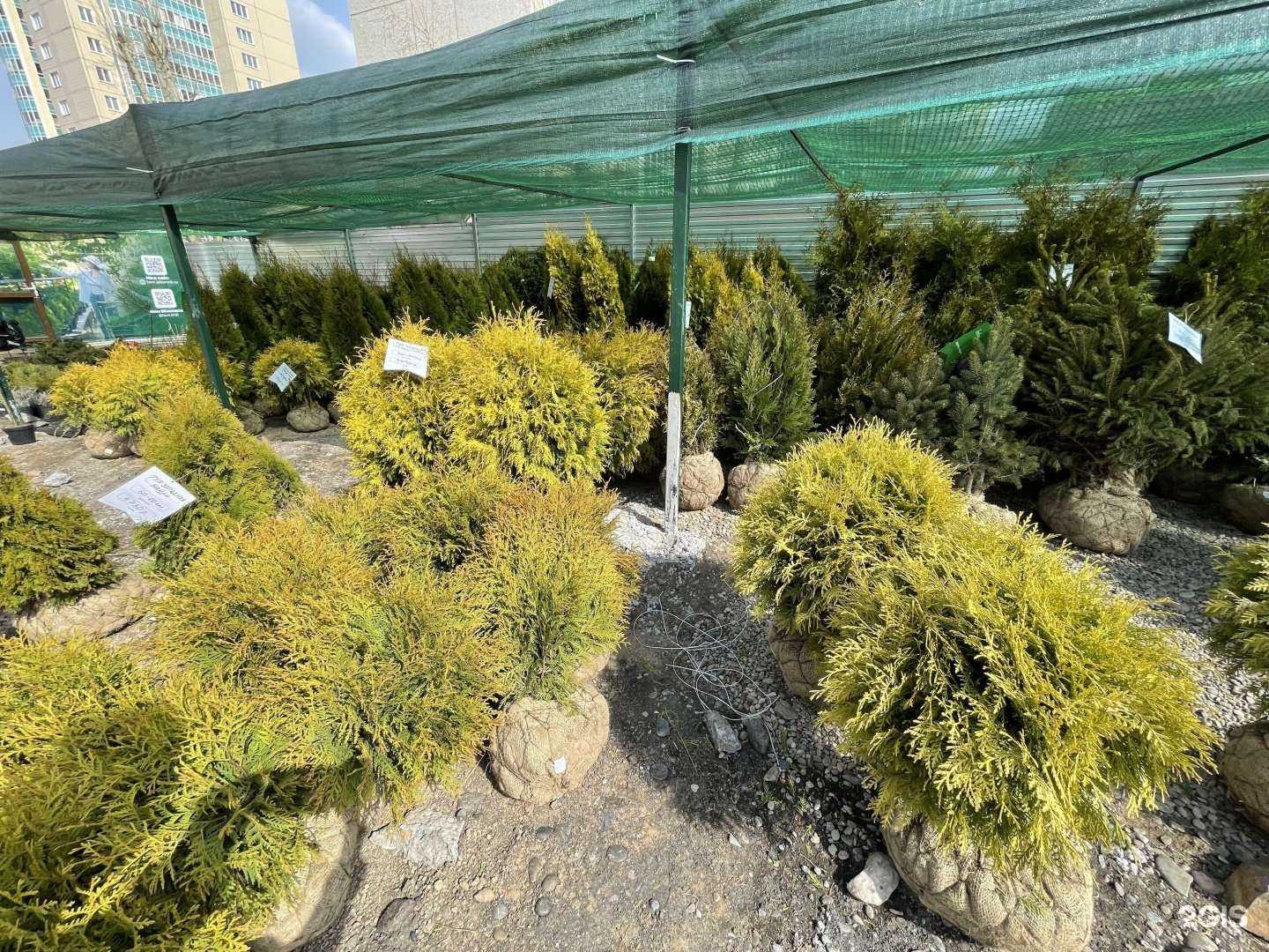 Отзывы на компанию Фавн в Красноярске c фото