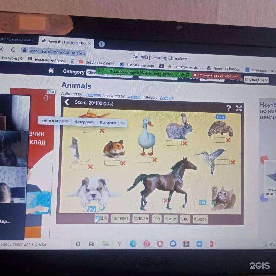 Отзывы на компанию Alphabet в Ульяновске c фото