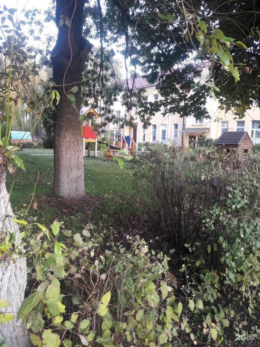 Отзывы на компанию Детский сад №46 в г. Калининград c фото