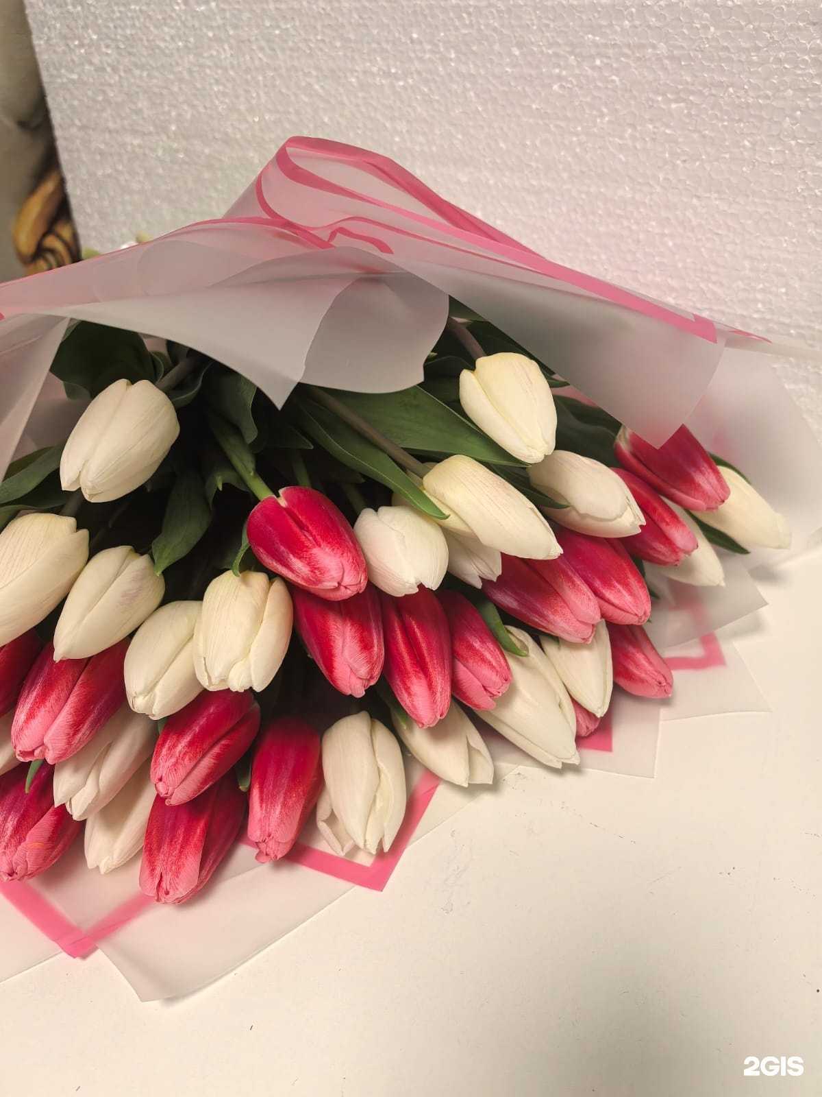 Отзывы на компанию Buton в Новороссийске c фото