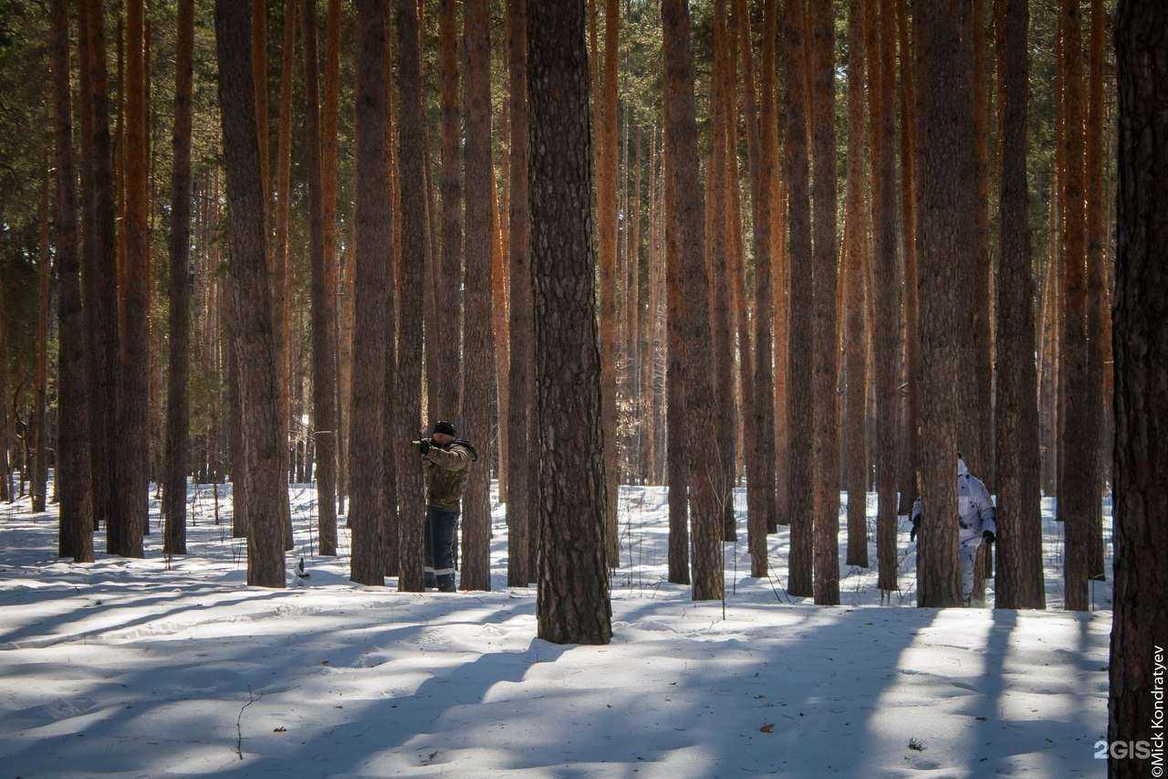 Отзывы на компанию Воины света в г. Тамбов c фото