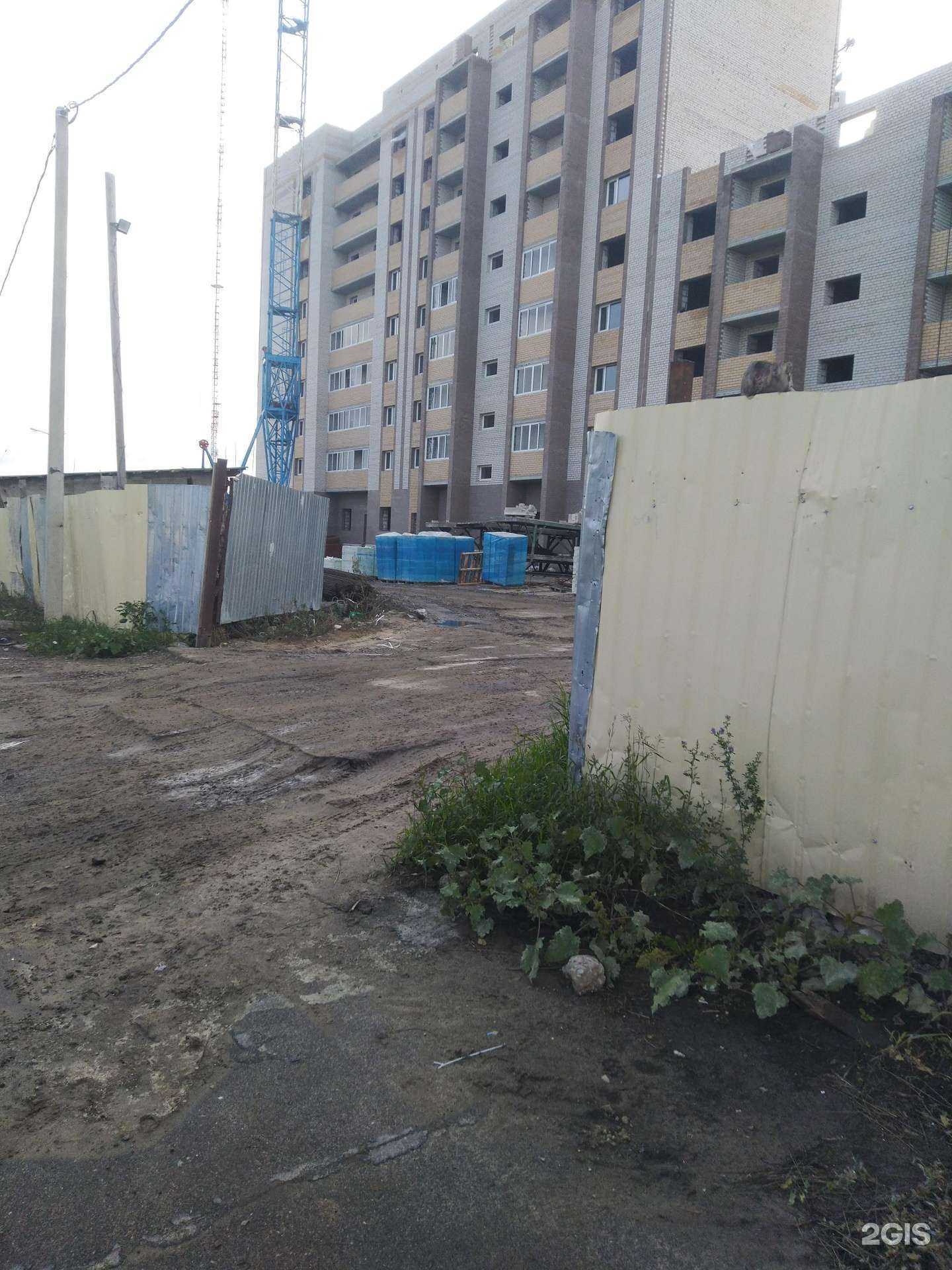 Отзывы на компанию Кот знаток в г. Тамбов c фото