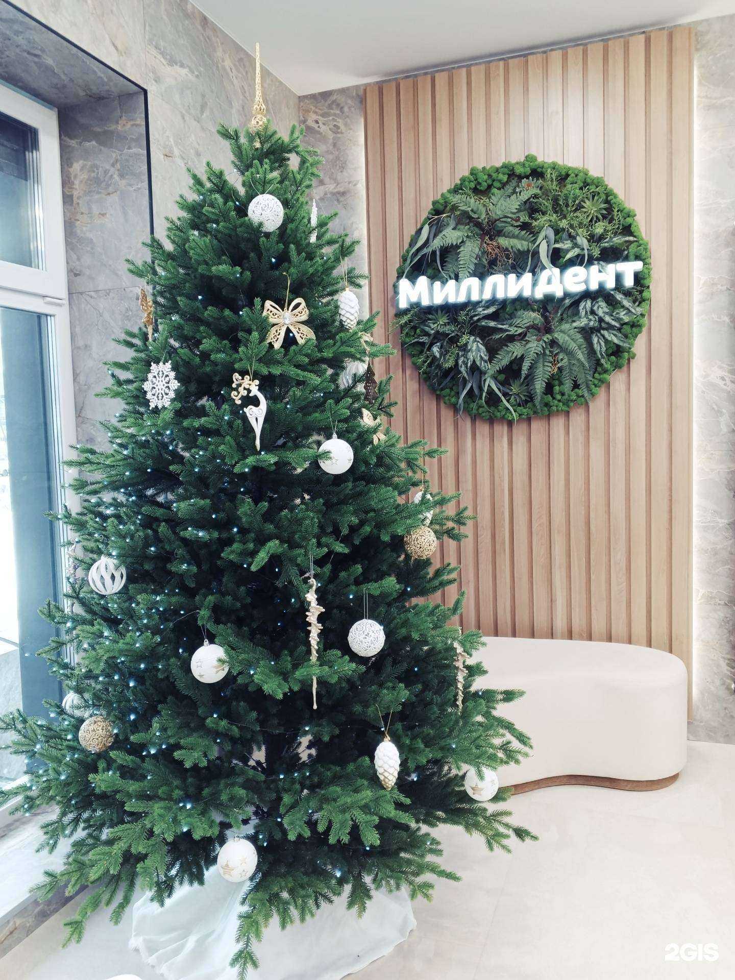 Отзывы на компанию Миллидент в Казани c фото