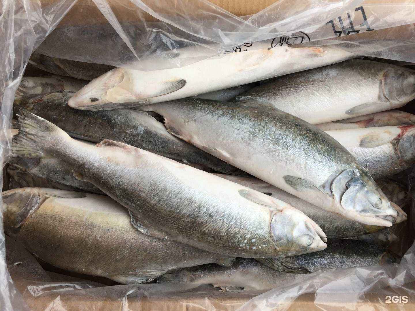 Отзывы на компанию Велес в г. Екатеринбург c фото