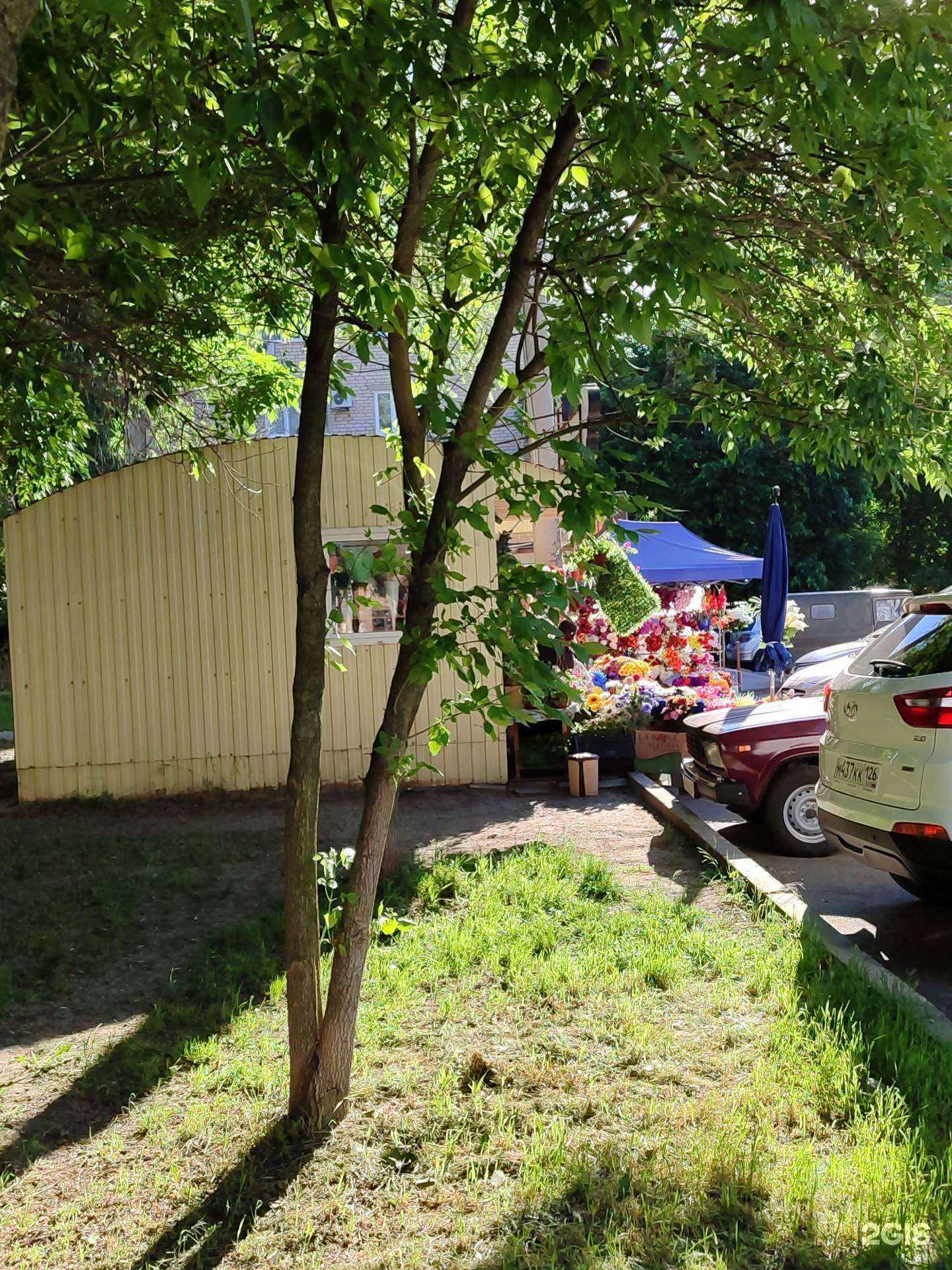 Отзывы на компанию Наташка-ромашка в Невинномысске c фото